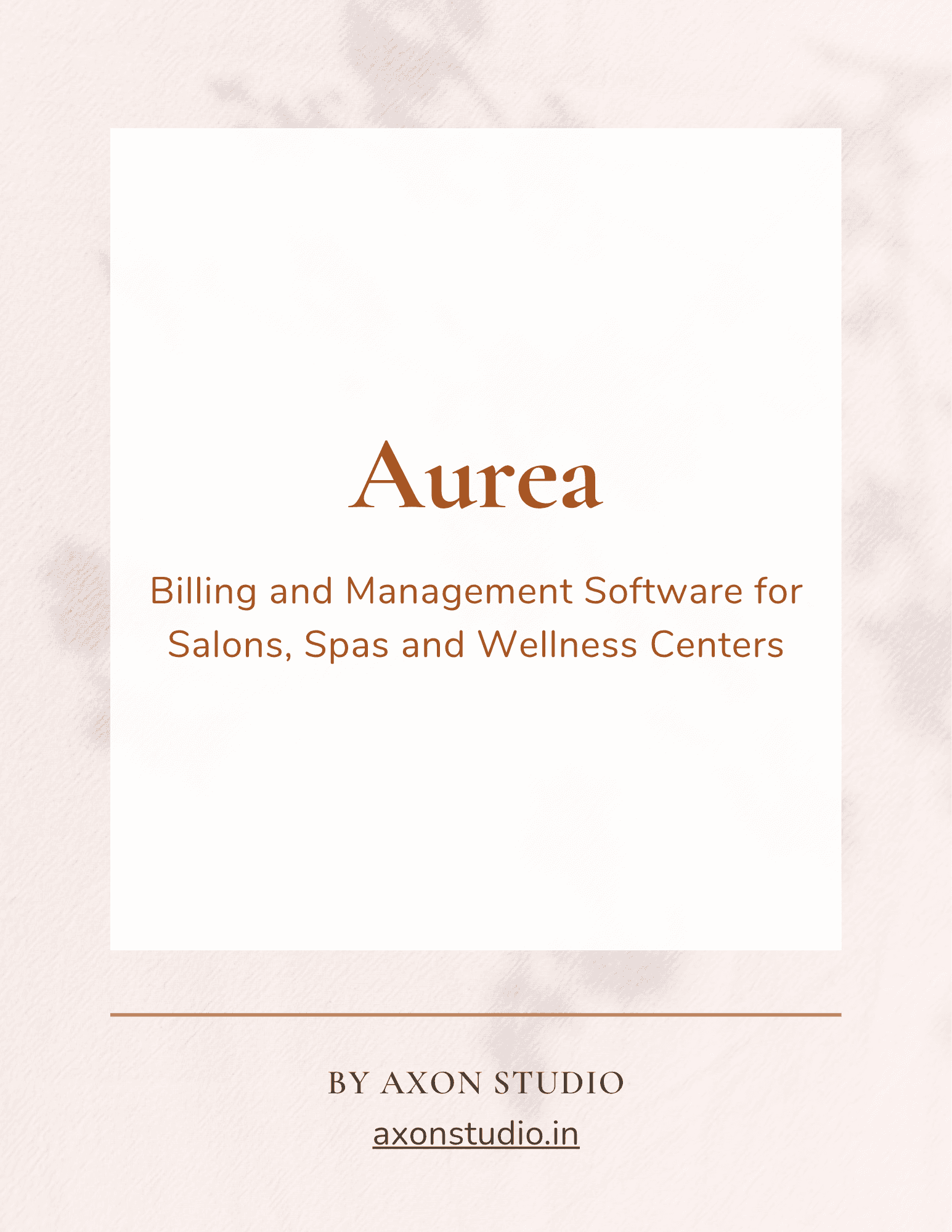 Introduction page image of the Salon Chain Appointment & Workforce Management Platform project document
